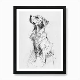 Small Dog Charcoal Line Art Print