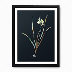 Vintage Gladiolus Lineatus Botanical Watercolor Illustration on Dark Teal Blue n.0146 Art Print
