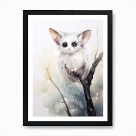 Light Watercolor Painting Of A Feather Tail Glider 1 Art Print