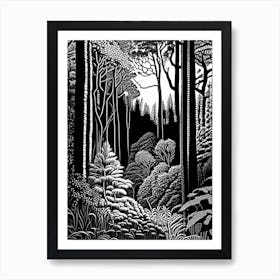 Bernheim Arboretum And Research Forest, 1, Usa Linocut Black And White Vintage Art Print