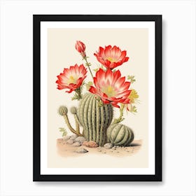 Vintage Cactus Illustration Echinocereus Cactus Art Print