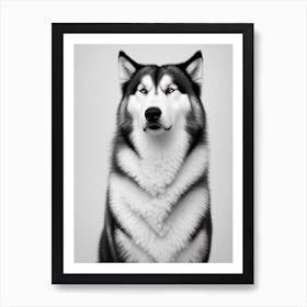 Alaskan Malamute 2 B&W Pencil Dog Art Print