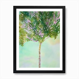 Acropora Aspera Ii Storybook Watercolour Art Print