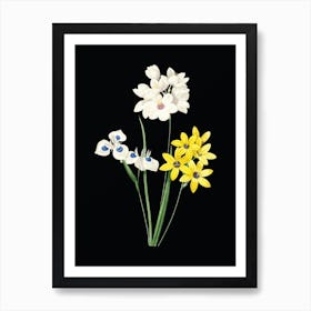 Vintage Corn Lily Botanical Illustration on Solid Black Art Print