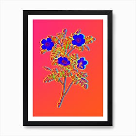 Neon White Candolle's Rose Botanical in Hot Pink and Electric Blue n.0436 Art Print