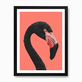 Flamingo Art Print