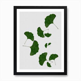 Ginkgo Leaf I Art Print