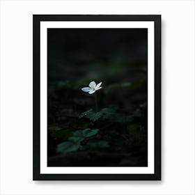 White Flower In The Dark 23 Art Print