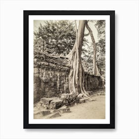 Tree Roots Of Angkor Cambodia Art Print