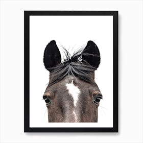 Brown Horse's Head Art Print