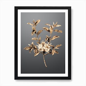 Gold Botanical Azalea on Soft Gray n.0141 Art Print