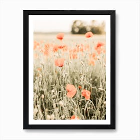 Poppy Flower Art Print