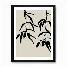 Olive Twigs Art Print