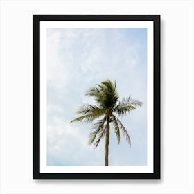 Palm Tree On The Beach |Blue sky |Thailand | Koh Samui Art Print