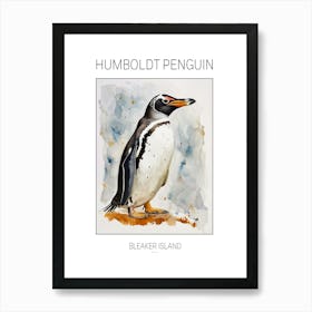 Humboldt Penguin Bleaker Island Watercolour Painting 1 Poster Art Print
