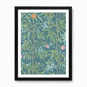 Abiu Vintage Botanical Fruit Art Print