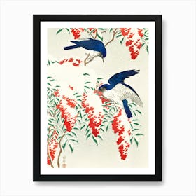 Flycatchers on a nandina bush Art Print