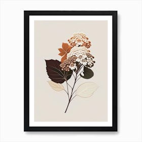 Hydrangea Root Spices And Herbs Retro Minimal 1 Art Print