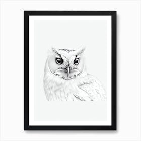 Eastern Screech Owl B&W Pencil Drawing 3 Bird Art Print