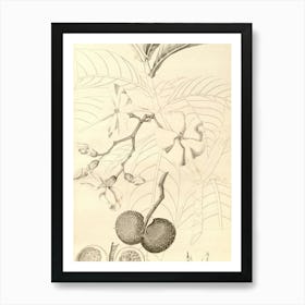 Jackfruit Art Print