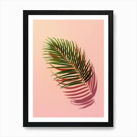 Shadow Of Palm Leaf On Pink Background Art Print