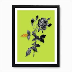 Vintage Provence Rose Black and White Gold Leaf Floral Art on Chartreuse n.0280 Art Print