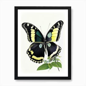 Black Swallowtail Butterfly Decoupage 1 Art Print