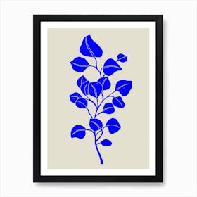 Eucalyptus Leaves Art Print