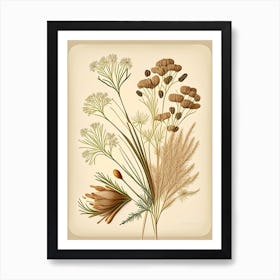 Caraway Spices And Herbs Retro Drawing 3 Art Print