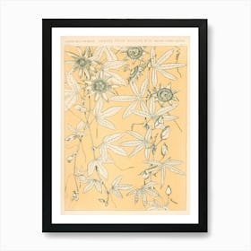 Vintage Pattern, Owen Jones               Art Print