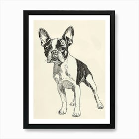 Boston Terrier Dog Line Sketch 1 Art Print