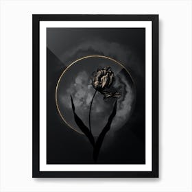 Shadowy Vintage Didier's Tulip Botanical on Black with Gold Art Print