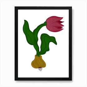 Tulip Art Print