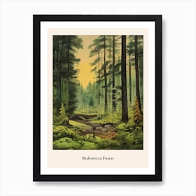 Bialowieza Forest Art Print