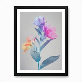 Iridescent Flower Celosia 3 Art Print