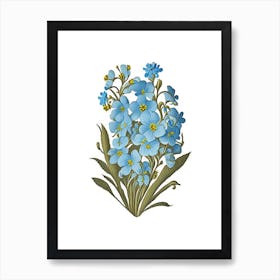 Forget Me Not 2 Floral Botanical Vintage Poster Flower Art Print