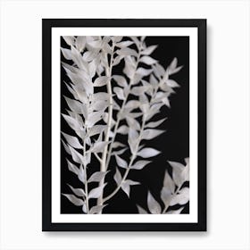 Minimal Black And White Branch Art Print