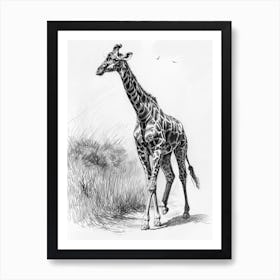 Giraffe In The Grass Pencil Drawing 2 Art Print