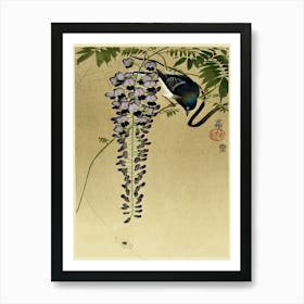 Flycatcher At Wisteria (1900 1910), Ohara Koson Art Print