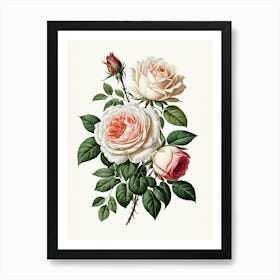 Vintage Galleria Style Rose Art Painting 29 Art Print