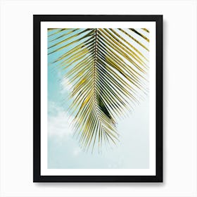 Palm Leaf Photograph Art Print