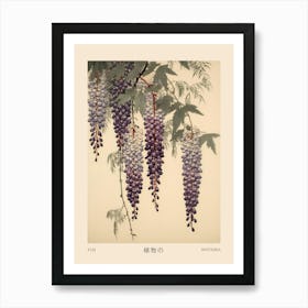 Fuji Wisteria 1 Vintage Japanese Botanical Poster Art Print