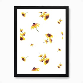 Blooms Black Eyed Art Print