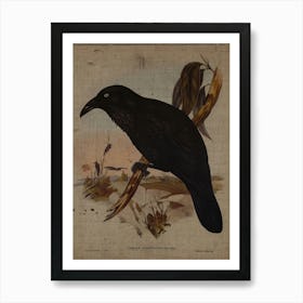 Crow Art Print