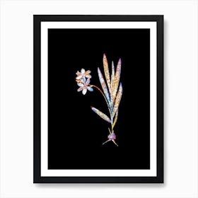 Stained Glass Gladiolus Plicatus Mosaic Botanical Illustration on Black n.0162 Art Print
