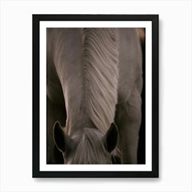 Straight Lines - Belgium horse close up photo print - moody animal photography art Art Print