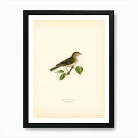 Garden Warbler, The Von Wright Brothers Art Print