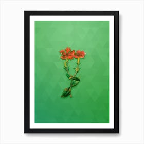 Vintage Bunge's Lychnis Flower Botanical Art on Classic Green Art Print