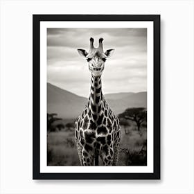 Black And White Photograph Of Giraffe 1 Art Print