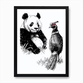 Giant Panda And A Blood Pheasant Ink Illustration 4 Art Print